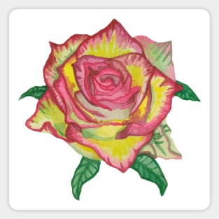 Pink yellow rose with green leaves Magnet